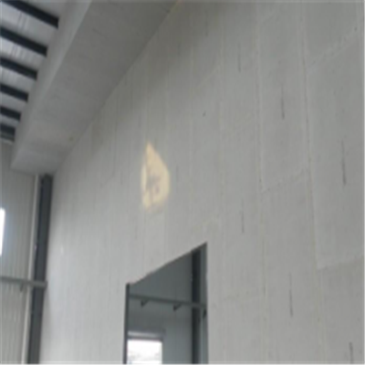 东港宁波ALC板|EPS加气板隔墙与混凝土整浇联接的实验研讨